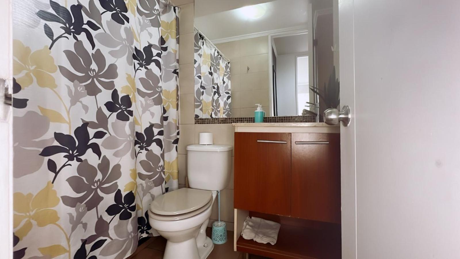 Apartamentos Bulnes 圣地亚哥 外观 照片